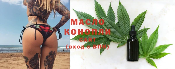 дмт Абаза