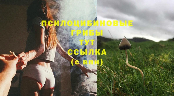 молекула духа Покачи